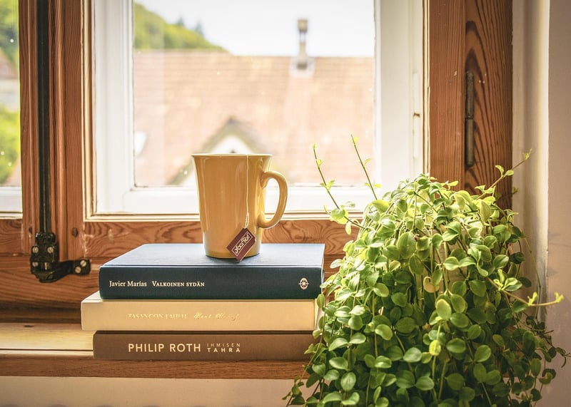 indoor plants